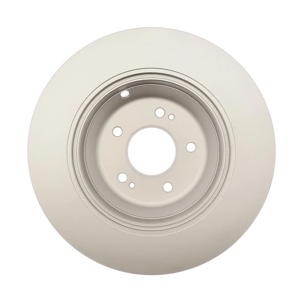 Raybestos 982290 Brake Rotor Rear