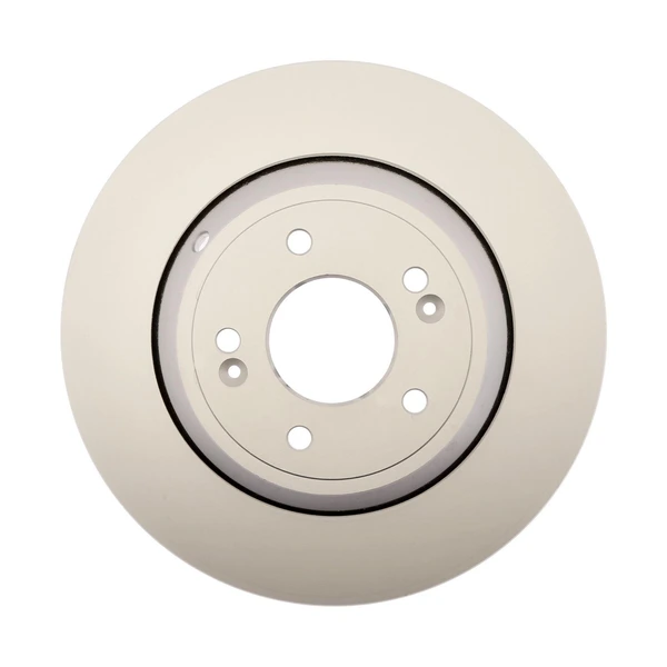 Raybestos 982290 Brake Rotor Rear