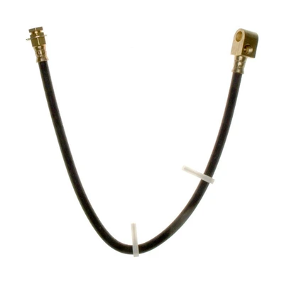 Brake Hydraulic Hose - Rear Center - Raybestos BH381604