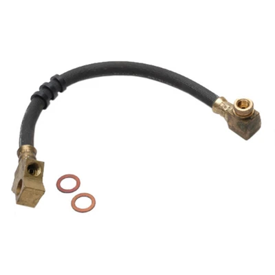Brake Hydraulic Hose - Raybestos BH38244