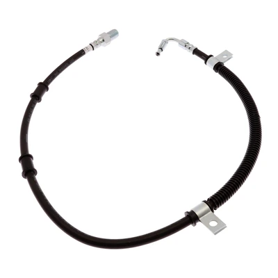 Brake Hydraulic Hose - Raybestos BH384417
