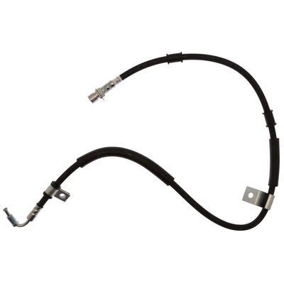 Brake Hydraulic Hose - Raybestos BH384119