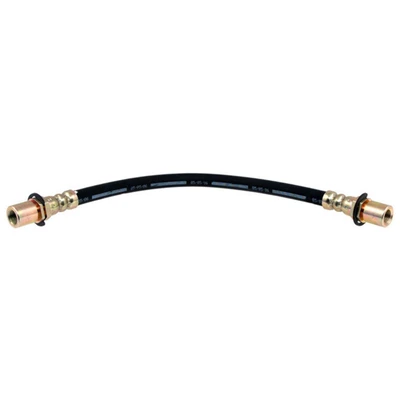 Brake Hydraulic Hose - Rear Side - Raybestos BH38793
