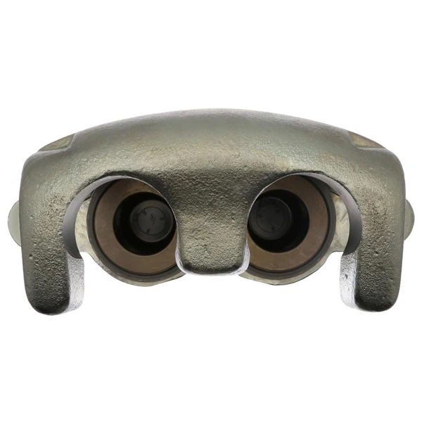 Disc Brake Caliper - Raybestos FRC11171N