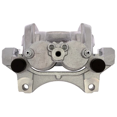 Disc Brake Caliper - Front Side - Raybestos FRC12981DN