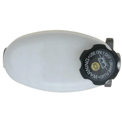 Brake Master Cylinder - Raybestos MC391251