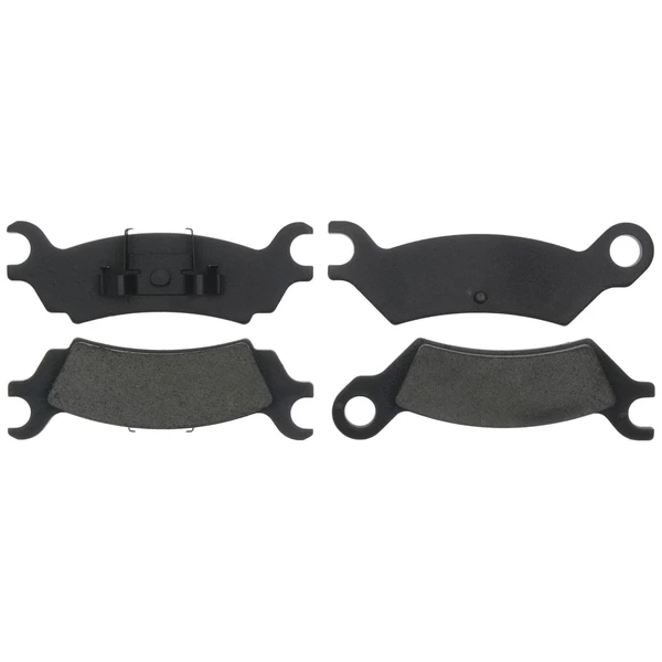 Disc Brake Pad Set - Rear Side - Raybestos SGD361