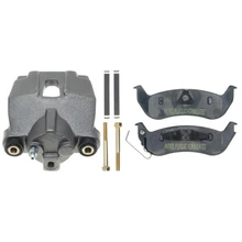 Disc Brake Caliper - Rear Left Driver Side - Raybestos RC11821P
