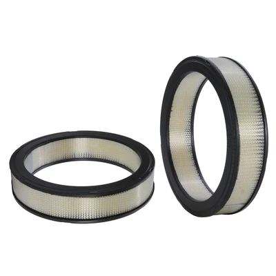Engine Air Filter - Wix 42908
