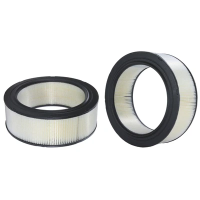 Engine Air Filter - Wix 42194