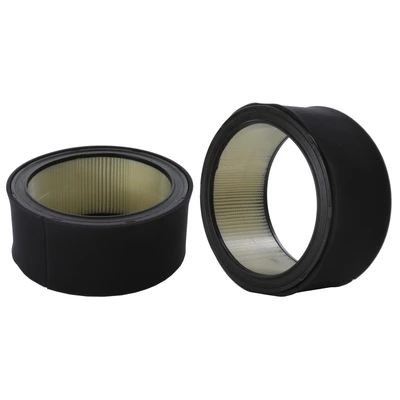 Engine Air Filter - Wix 46166