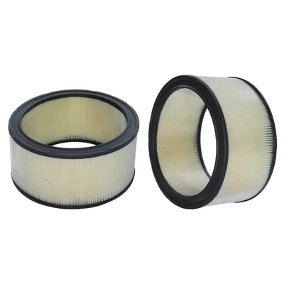 Engine Air Filter - Wix 46220