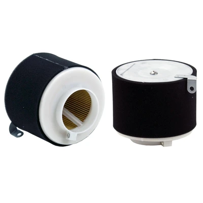 Engine Air Filter - Wix WA10654