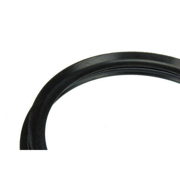 ÜRO Parts 16141182905 Fuel Pump and Level Sensor Module Seal