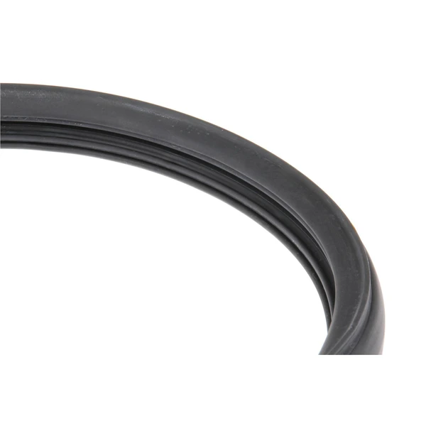 ÜRO Parts BD38361 Back Glass Seal