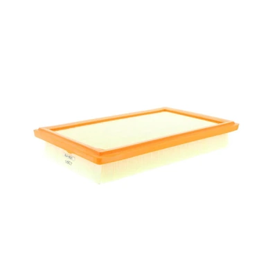 Vaico V30-1061 Engine Air Filter