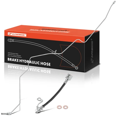 Rear Passenger Brake Hydraulic Hose