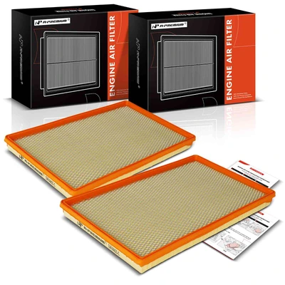 2 Pcs Engine Air Filter