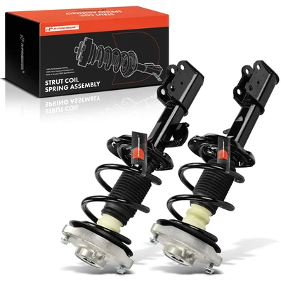 2 Pcs Front Complete Strut & Coil Spring Assembly