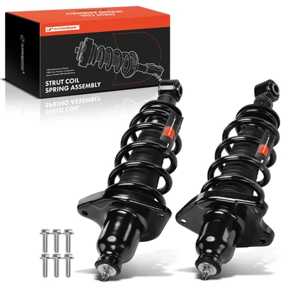 2 Pcs Rear Complete Strut & Coil Spring Assembly