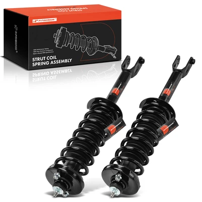 2 Pcs Rear Complete Strut & Coil Spring Assembly